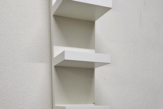 1000099512.jpg