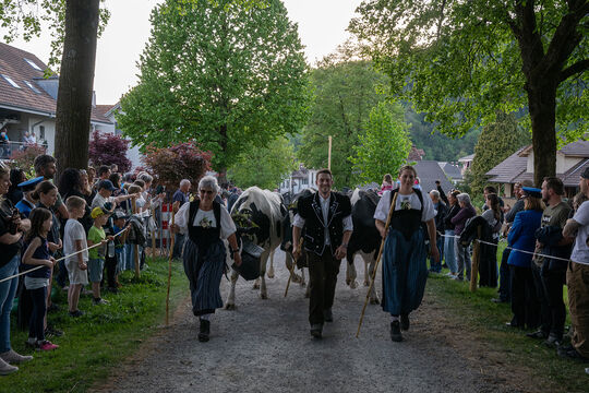 ERS_2048-Kopie