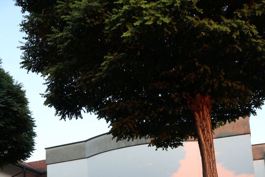 Bundesfeier_Biglen_Tief_138