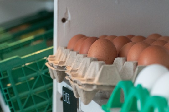 TanteEmma_17_DSC00291