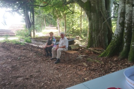 PHOTO-2019-09-02-17-29-551