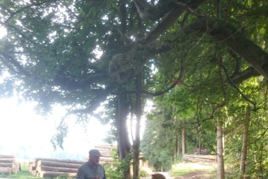 PHOTO-2019-09-02-17-29-562