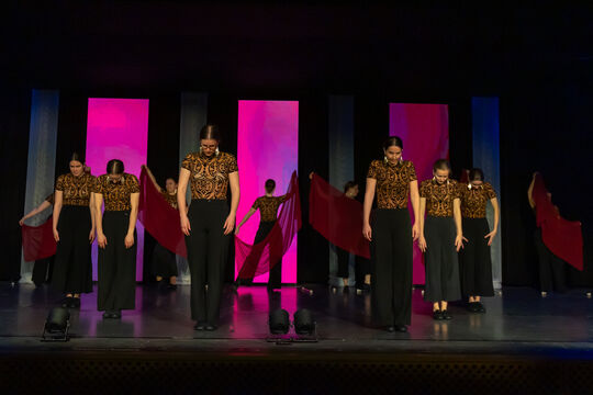 MajorettenMuensingen_Show2025_68A2536