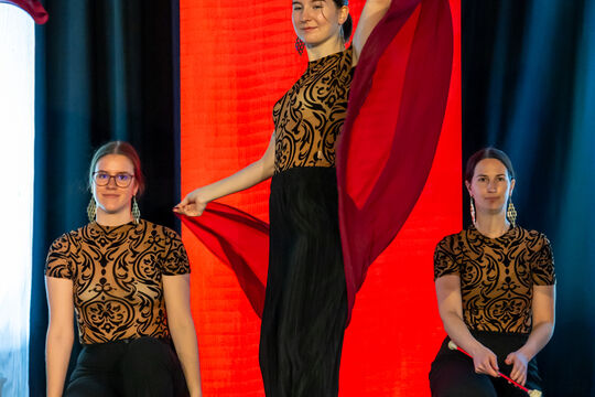 MajorettenMuensingen_Show2025_68A2540