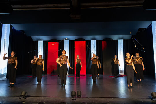 MajorettenMuensingen_Show2025_68A2551