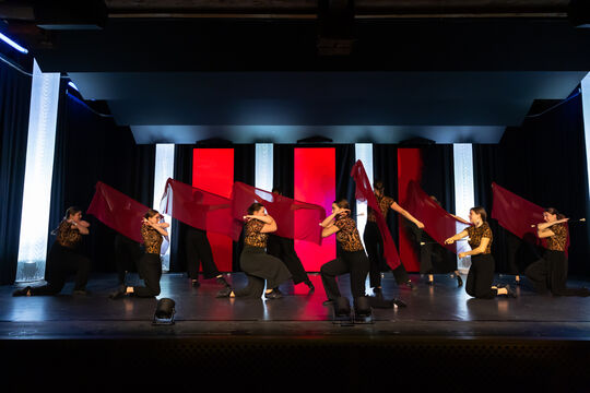 MajorettenMuensingen_Show2025_68A2557