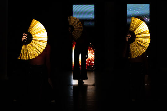 MajorettenMuensingen_Show2025_68A2816