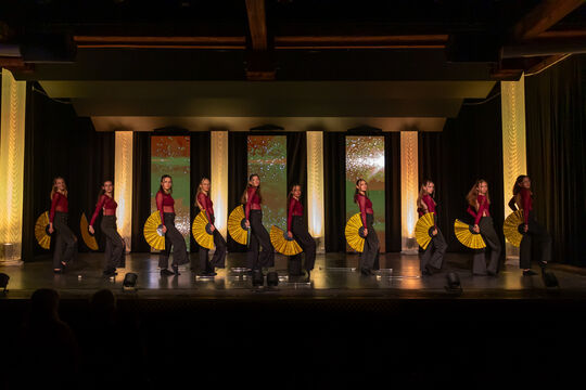 MajorettenMuensingen_Show2025_68A2842