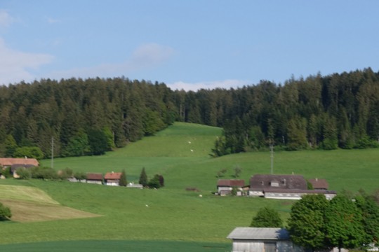 20190529_Sponsorenlauf_012