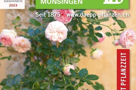 Flyer RosenFestival.jpg