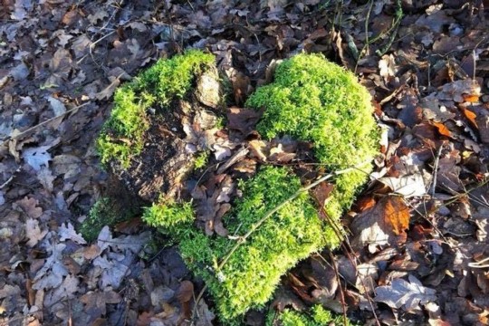 179153170_459932091736161_4009340329289931998_n