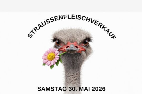 bern_ost_straussenfleischverkauf_crop_1080 mai 26.jpg
