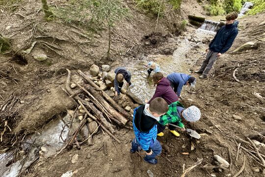 Jungschi-Ameisli.jpg
