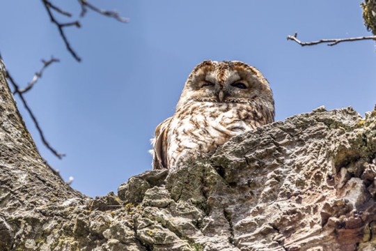 173559653_912607689534056_2879501261158177710_n