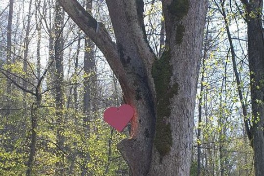 181893746_972682179803358_9208236832484532842_n