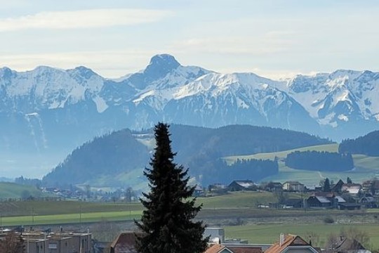 197911833_163152315783588_9197418574879319981_n