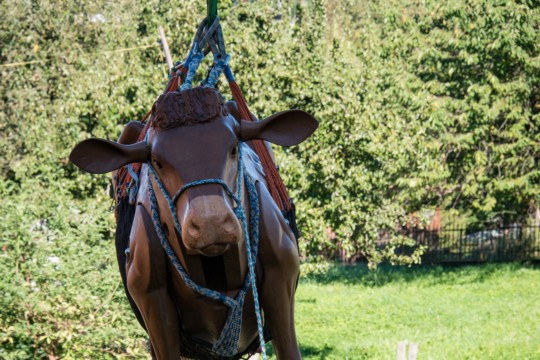 Feuerwehr_Regio_Gumm_2024-22