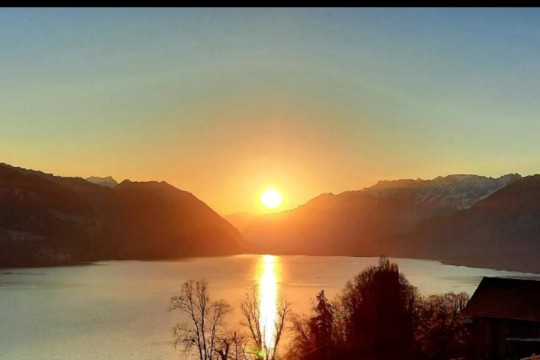 Screenshot_20210608_114222