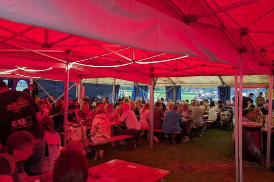 PXL_20250801_180413565.MP