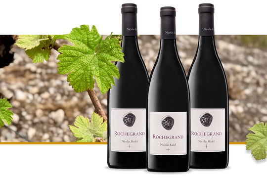 1 Bern Ost Monats-Hit 03.2026.jpg