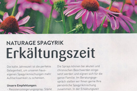 2025-11SpagyrikErk&auml;ltungHausmittel.jpg