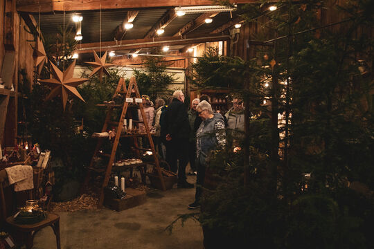 Adventausstellung-2025-65