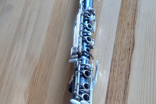 20260512_113612.jpg