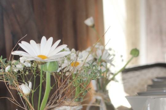 IMG_5108---Kopie-(2)