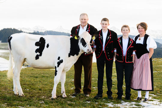 Preis_2_Rind_Salzmann_0011