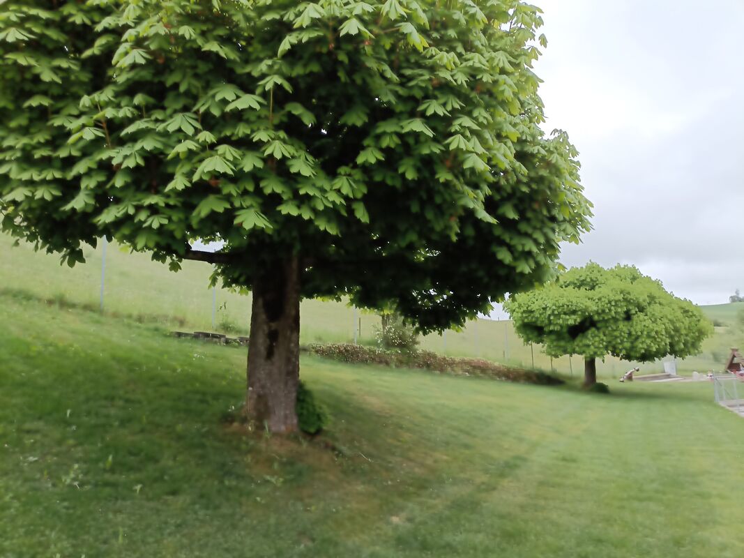 image 979791
