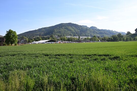 ERS_2059