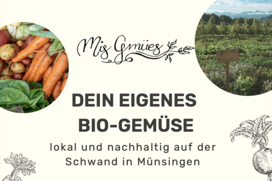 Bildschirmfoto 2025-02-06 um 20.05.41.png