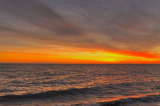 DCBF98F4-1DB7-4B62-A5B3-04B798407EDB