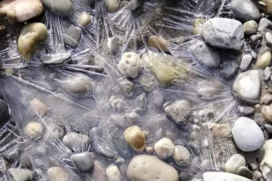 inbound3358444312537383456-2