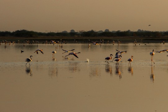 inbound6283673060233823501