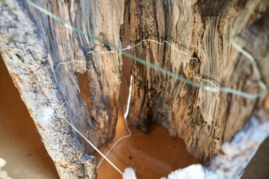 Tag der offenen T&uuml;r 167