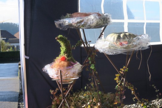 UNADJUSTEDNONRAW_thumb_107c6