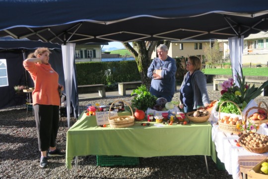 UNADJUSTEDNONRAW_thumb_107cb