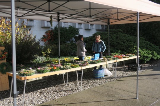 UNADJUSTEDNONRAW_thumb_107cc