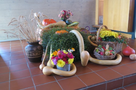 UNADJUSTEDNONRAW_thumb_107d9