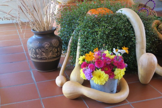 UNADJUSTEDNONRAW_thumb_107da