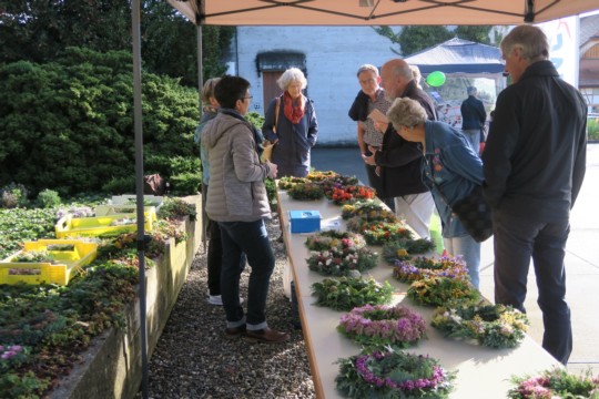 UNADJUSTEDNONRAW_thumb_107df