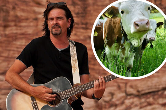 Bild Ausgehtipps: Drei Ideen f&uuml;rs Wochenende