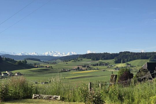 IMG-20260523-WA0016.jpg