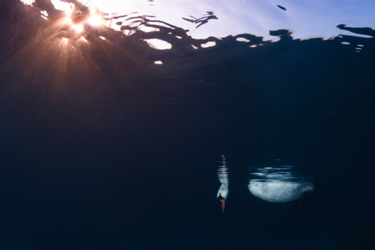 20220213_unbenannt_293506-Bearbeitet-resized