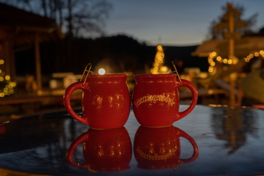 DTV-Walkringen-Turnvorstellung-01685