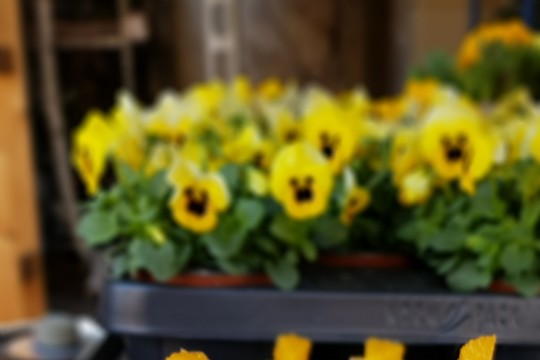 20190223_090129_resized