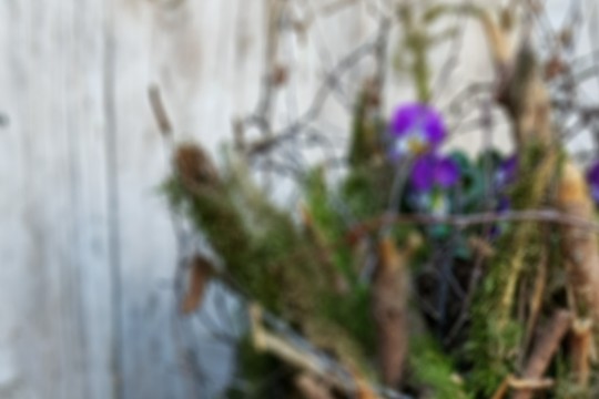 20190223_090232_resized