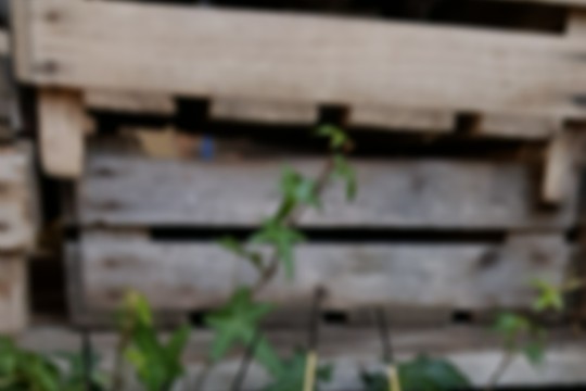 20190223_104917_resized