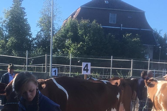 PHOTO-2018-10-03-21-08-15-(1)